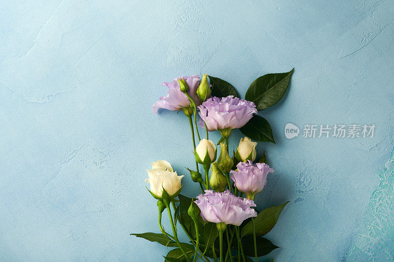 Festive flower composition purple color and gift box with ribbon on light blue concrete background. Mothers day concept. Flowers frame. Overhead view. Top view with copy space.